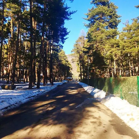 Appartement Runs - Sweet Vintage